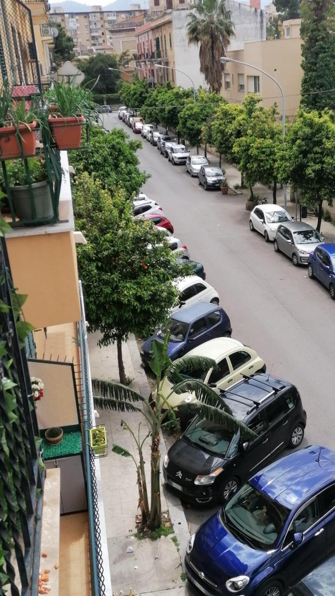 Biddizzi Lägenhet Palermo Exteriör bild